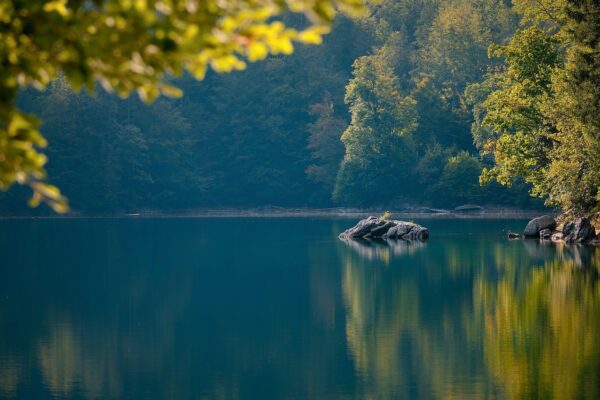 lake, rocks, forest, nature, water, landscape, lake, lake, lake, lake, lake, forest, nature, nature, nature, landscape