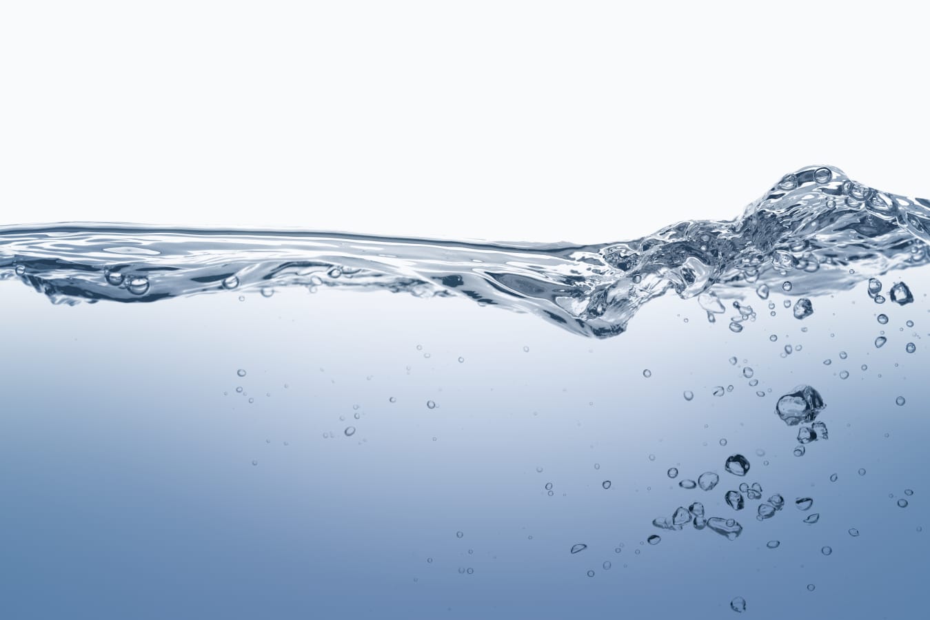 whatsapp image 2025 09 01 at 2.31.40 pm